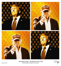 Load image into Gallery viewer, Donald Trump (47th President of America) 2025 -