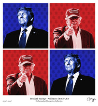 Load image into Gallery viewer, Donald Trump (47th President of America) 2025 -