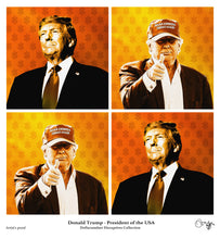 Load image into Gallery viewer, Donald Trump (47th President of America) 2025 -