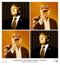 Load image into Gallery viewer, Donald Trump (47th President of America) 2025 -