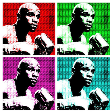 Floyd The Money Mayweather Jr