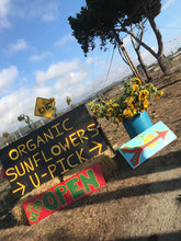 Load image into Gallery viewer, 68. Dollarshot Sunflower