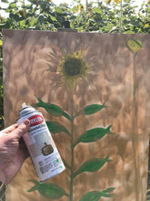 Load image into Gallery viewer, 68. Dollarshot Sunflower