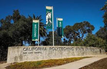 Load image into Gallery viewer, 22. Mustangs Subway at Cal Poly