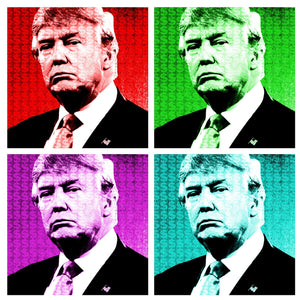 Donald Trump 45th President of America (2016-2020)